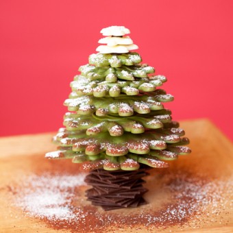 ChocolateTree500