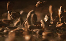 csm_LINDT_Difference_-_Unique_Roasting_of_cocoa_beans_508e38dd49