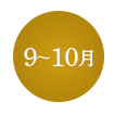 9~10
